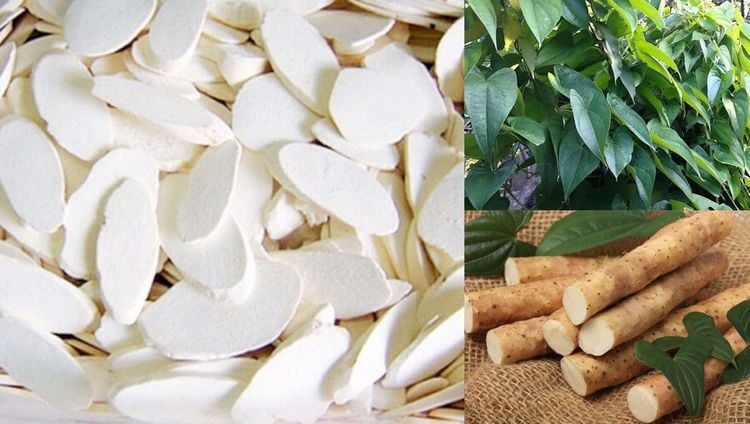 Bột Hoài Sơn có tác dụng gì đến sức khoẻ người dùng?